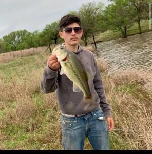 Meet your Posher, Justin